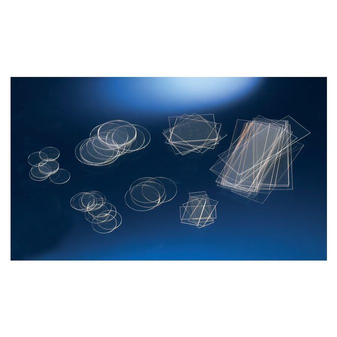 Nunc Thermanox Coverslips