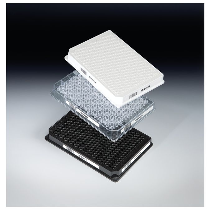 Thermo Scientific Nunc 384 Well ShallowWell Standard Height Clear Plates - 384 wells - 2 to 20 μL - 264704