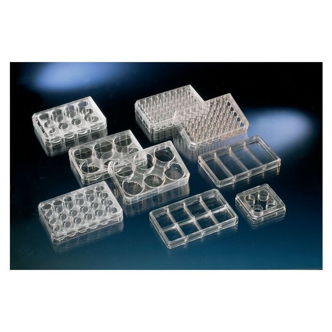 Thermo Scientific Nunc Cell-Culture Treated Multidishes - 48 wells - 0.5mL - 1.1 sq. cm culture area - 152640