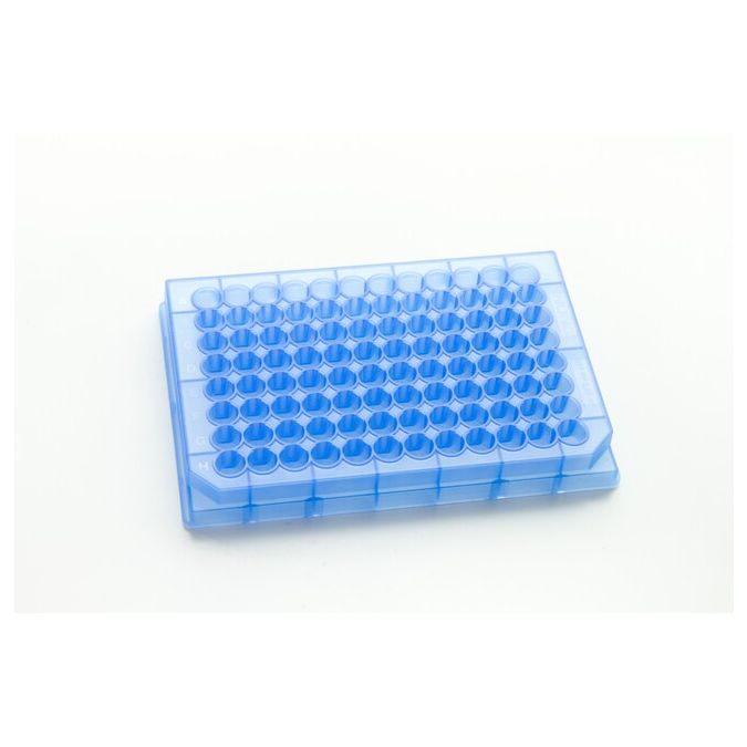 Thermo Scientific Nunc 96-Well Polypropylene Sample Processing & Storage Microplates - 96 wells - 450 μL - 267385