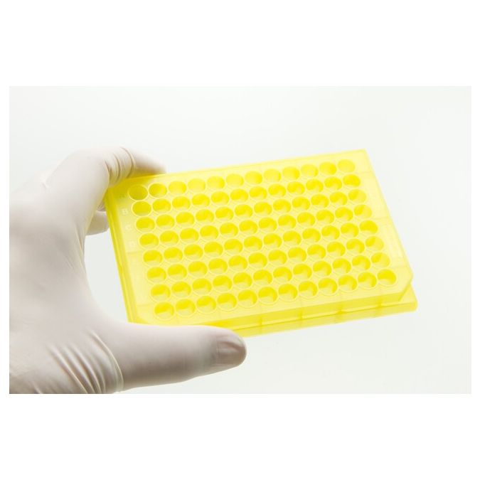 Thermo Scientific Nunc 96-Well Polypropylene Sample Processing & Storage Microplates - 96 wells - 450 μL - 267407