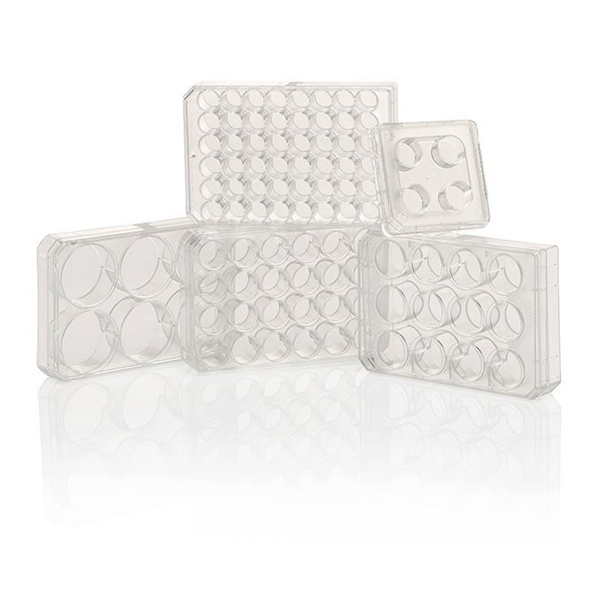 Thermo Scientific Nunc Cell-Culture Treated Multidishes - 4 wells - 1mL - 1.9 sq. cm culture area - 176740