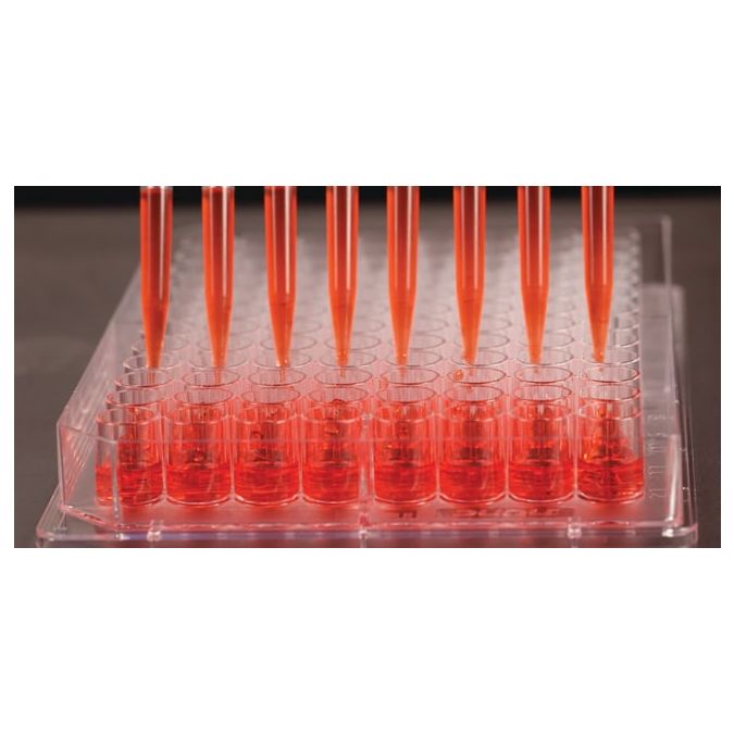 Thermo Scientific Nunc Edge 96-Well, Nunclon Delta-Treated, Flat-Bottom Microplate - 96 wells - 0.35 cm2/well culture area - 167542